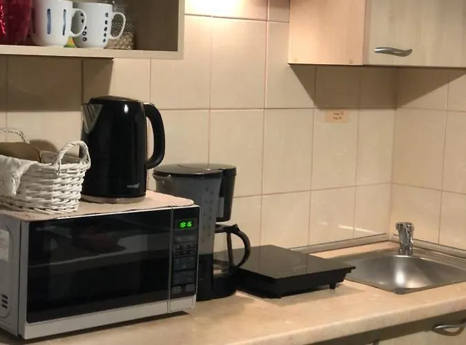 Gedimino House * Vilnius